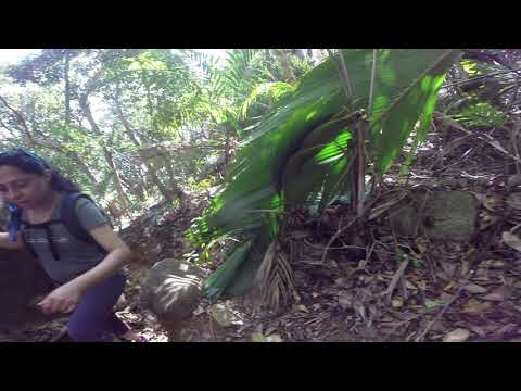 Seychelles Hike