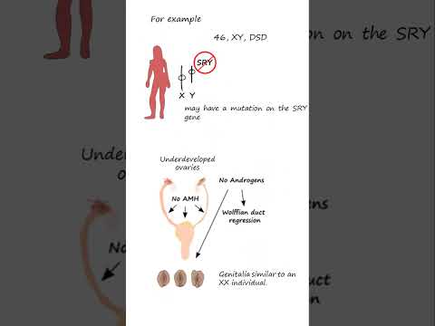 Sex  determination is complex #biology #genetics