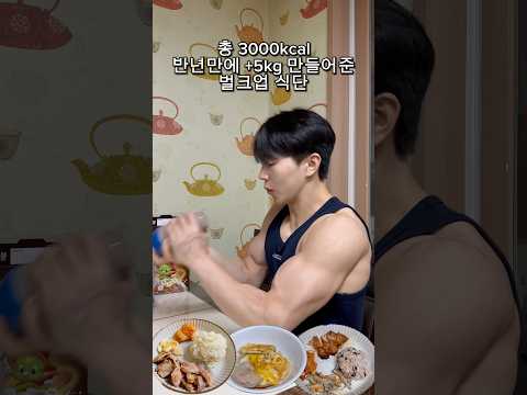 반년만에 +5kg 만들어준 벌크업 식단