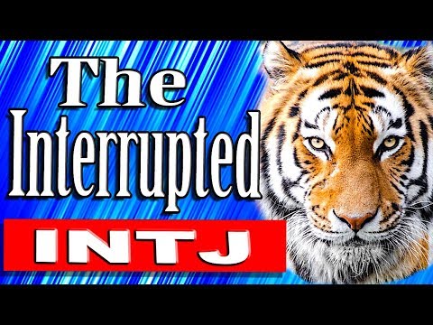 The Interrupted INTJ