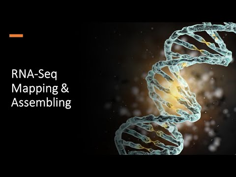 RNA Seq Mapping & Assembling