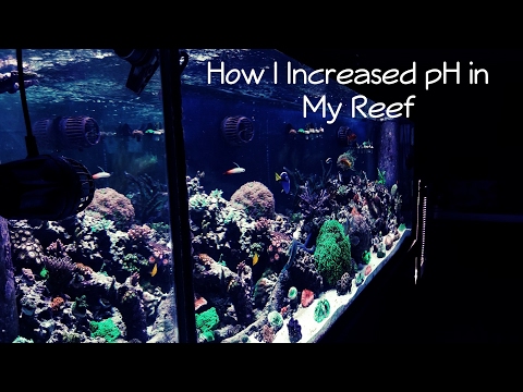 How I increased pH in my Reef