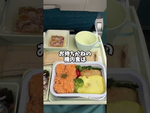 【知ってた？】ベトナム航空は機内食が美味しい!?  #LOVETABIベトナムレポーター #ベトナム航空 #ベトナム旅行 #vietnamairlines #shorts