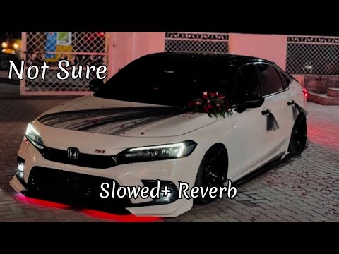 Not Sure | Slowed + Reverb | Cheem Y & Gur Sidhu New Song | TikTok Trending Song