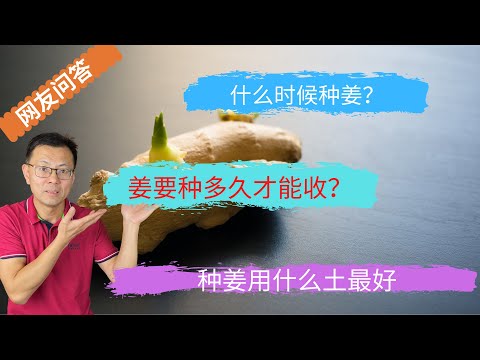 什么时候种姜？姜要种多久才能收？种姜用什么土最好?