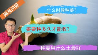 什么时候种姜？姜要种多久才能收？种姜用什么土最好?