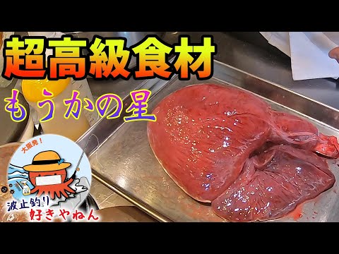 【もうかの星】レバーの代用品？モウカザメの心臓食ってみた!!【伊根ヤリイカ釣行料理篇】