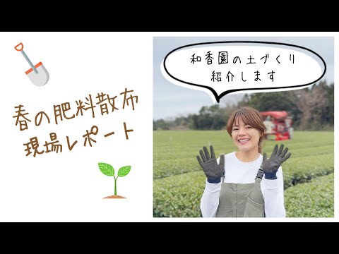 新茶前の大切な作業！🌱茶畑 春の肥料散布🌱