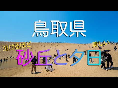 【鳥取県】鳥取砂丘と富浦海岸の夕焼け/鳥取観光vlog/ Tottori Sand Dunes in Japan.