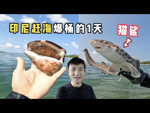 《印度尼西亚》第14天：和李哥PK赶海，徒手抓鲨鱼，扇贝随处可见！#旅行 #印度尼西亚 #旅行攻略 #环球旅行 #indonesia #赶海