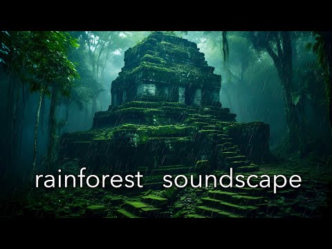 Rainforest Soundscape: 1 Hour of Soothing ASMR Nature Sounds