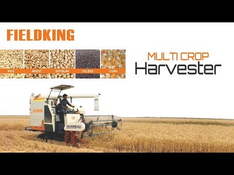 Wheat Harvesting with FieldKing Multi Crop Harvester | Agriculture machine