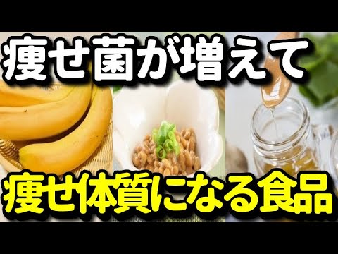 痩せ菌を増やして痩せ体質になる食べ物９選！腸内環境を整えてダイエットをサポートする食品とは？健康雑学