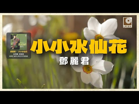 邓丽君- 小小水仙花 (Official Lyric Video)