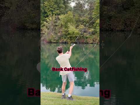 Ultimate Bank Fishing STRATEGY For Catfish!! #shorts #fishing