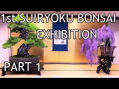 1st Suiryoku Bonsai Exhibition ・第1回翠緑盆栽展 2022 - PART 1