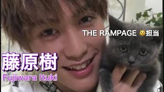 カッコイイと可愛いが大渋滞❗️《THE RAMPAGE》🐱担当 藤原樹SP‼️✨