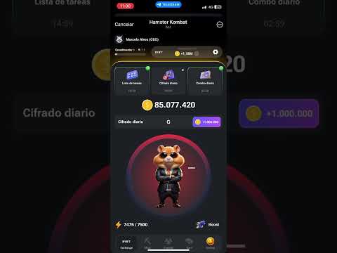 🚨HAMSTER KOMBAT COMBO DIARIO 💥🚀#hamsterkombat #hamsterairdrop #telegram