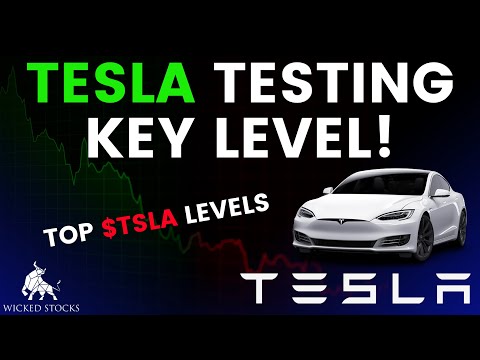 Tesla Stock Price Analysis | Top Levels To Watch for November 14th, 2024