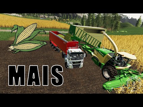 FS19 - XXL Farm Mais + Rüben Zwischenlagern MULTIPLAYER | Timelapse | Farming Ecke | Felsbrunn