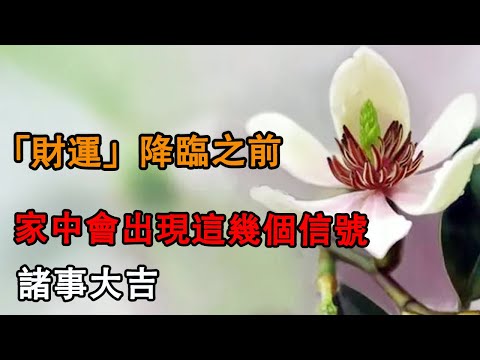 「財運」降臨之前，家中會出現這幾個信號，諸事大吉。|命理|轉運|風水|生辰八字|