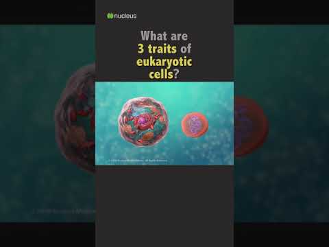 POP QUIZ: 3 traits of eukaryotic cells?