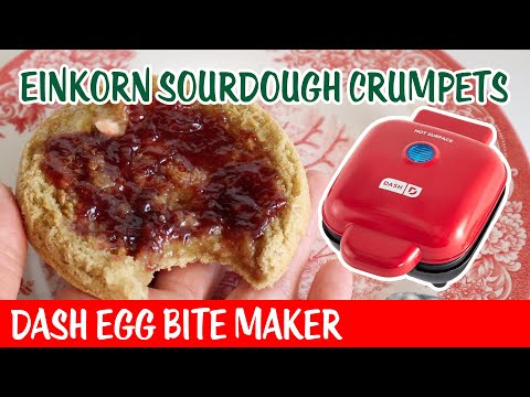 Einkorn Sourdough Crumpets - Dash Egg Bite Maker - Day 10 Bonne Maman Advent Calendar 2024