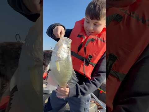 15” winter slab crappie for Jacob on Enid Lake! #crappiefishing