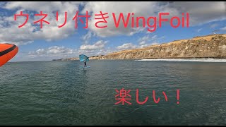 G下ウネリ付きWingFoilとマニューバーライン試乗会　2024年2月17,18日