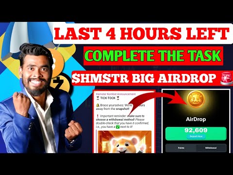 Snapshot Complete ✅️ Task Big Airdrop | Hamster kombat Airdrop | Hamster Kombat Withdrawal