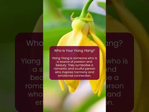 Who Is Your Ylang Ylang?