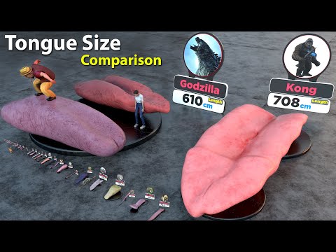 Tongue Size Comparison of different animals, birds , insects, reptiles and fictional Characters