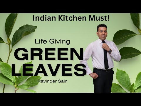 Forgotten miraculous Indian leaves. Lets use these again and make our kitchen a health factory.