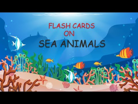 TALKING FLASH CARDS | Learn sea animals names | Educational video |