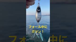 サゴシがよく釣れる！堤防ジギング最終兵器、ぶっ飛びスプーン。#ジギング #fishing