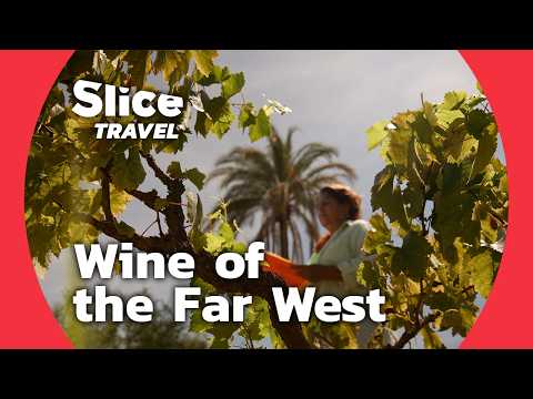 México: Wine-Making & Rekindling Traditions in Los Comondú | SLICE TRAVEL