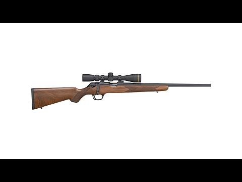 Gun Of The Week: Springfield Armory Model 2020 Rimfire Classic