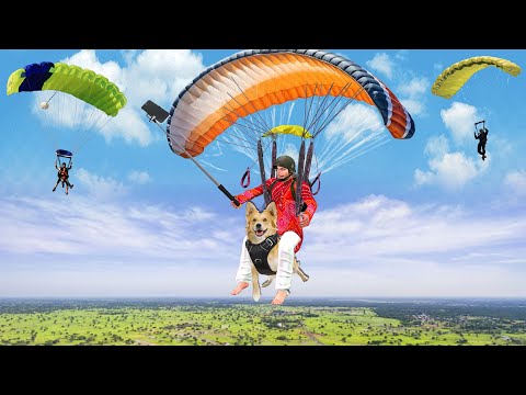 Vlogger Paragliding With Dog Hindi Kahaniya Moral Stories Paragliding Funny Video New Comedy Video