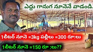 Cold Pressed Oil|Bull Driven Oils|Edhu Ganuga Nune In Telugu|Ganuga Oils|ఎద్దు గానుగ నూనె.