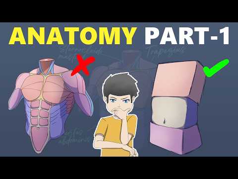 Learn Basic Anatomy for Better Your Animation - Torso Drawing Tutorial | Anatomy Part-1