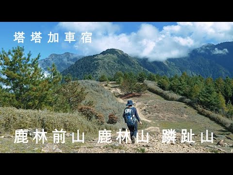 塔塔加車泊 | 鹿林前山 鹿林山 蹸趾山 玉山登山口 O型走