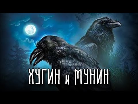 ХУГИН И МУНИН | Крылатые Шпионы Одина | Скандинавская Мифология