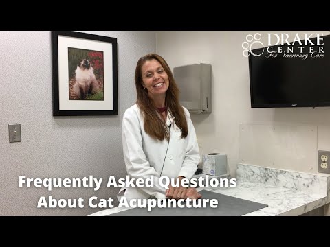 Frequently Asked Questions About Cat Acupuncture