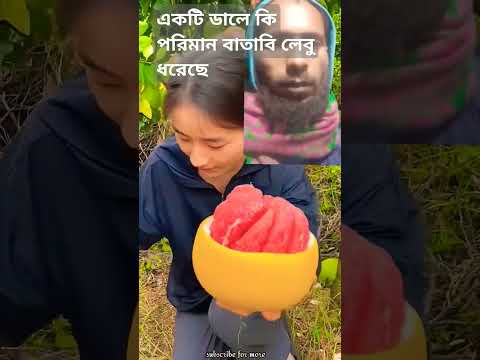 একটি ডালে কি পরিমান বাতাবি লেবু ধরেছে #motivation #video