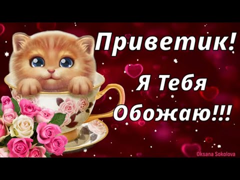 Приветик! Словно Кошечка Сметану, Обожаю я Тебя! Музыкальное Позитивное Пожелание для Тебя!