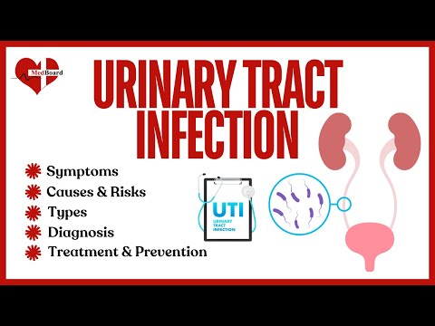 Urinary Tract Infection (UTI) | what is it and how to treat? | MedBoard