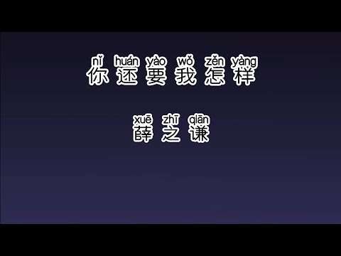 《你还要我怎样》 薛之谦 【高音质歌词版】