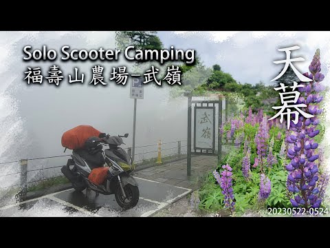 ｜機車露營 ｜台中和平｜福壽山農場露營區｜武嶺｜Solo Scooter Camping ｜Camping In Rain｜Tarp Tent｜天幕｜キャンプ｜タープ｜下篇