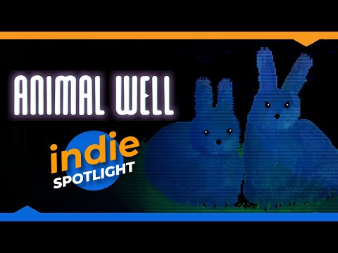 Austin strongly recommends: Animal Well (Review)