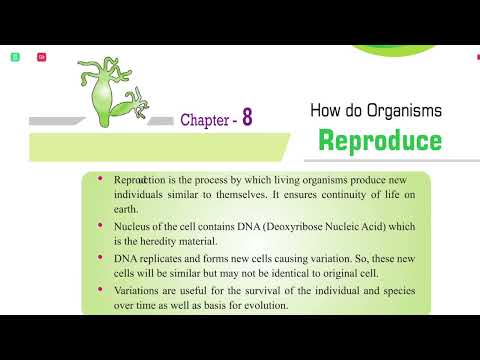 How do Organisms Reproduce cbse class 10 | Fertilization | Menstruation |Sexual Reproduction #term2